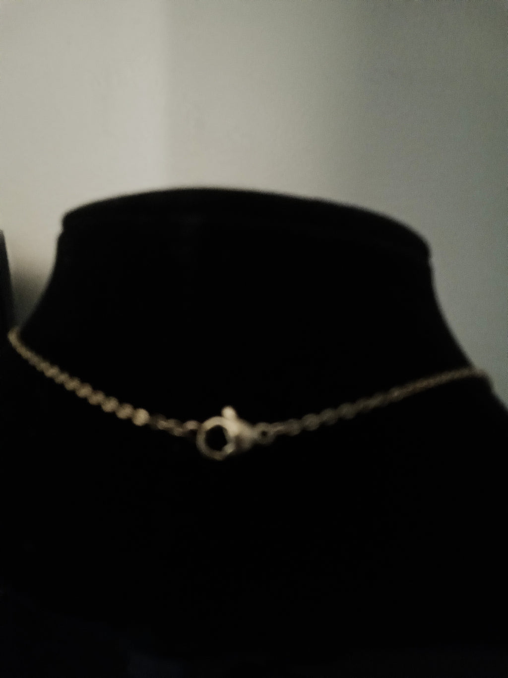 A delicate gold chain necklace with a small ring clasp, displayed on a black velvet jewelry bust.
