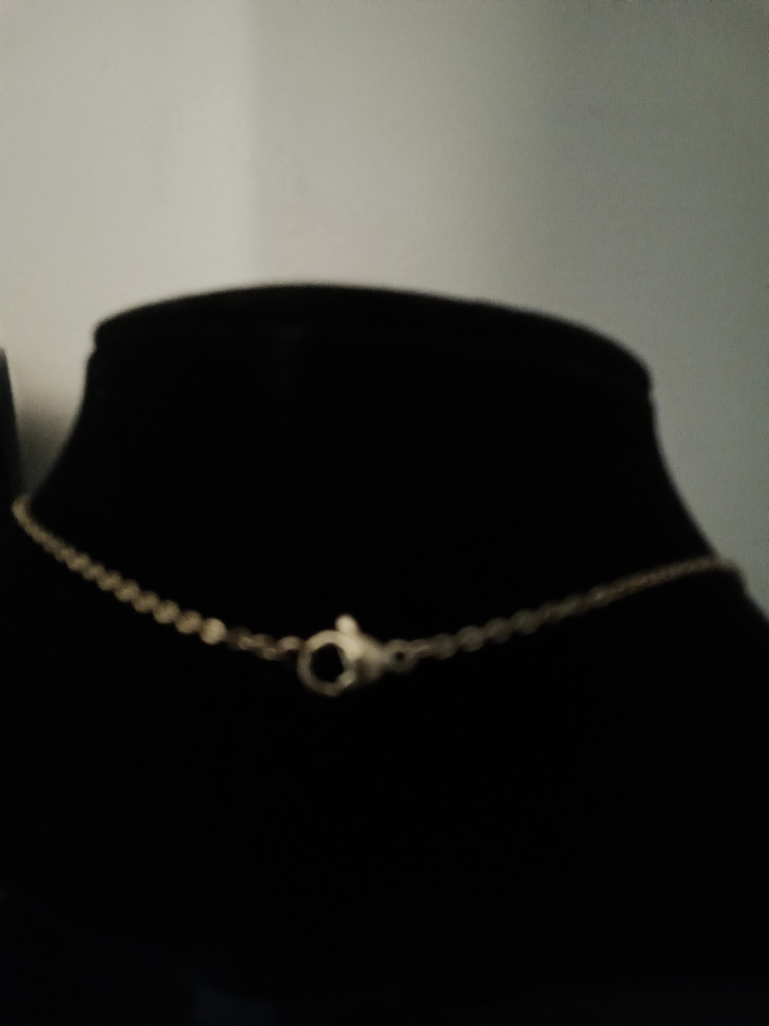 A delicate gold chain necklace with a small ring clasp, displayed on a black velvet jewelry bust.