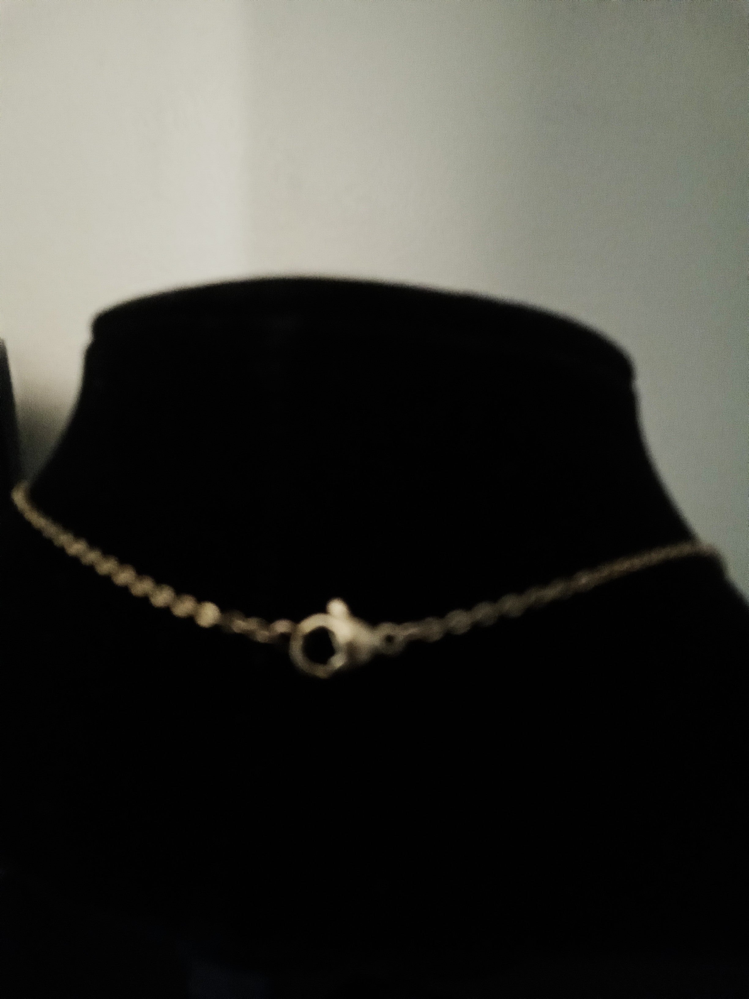 A delicate gold chain necklace with a small ring clasp, displayed on a black velvet jewelry bust.